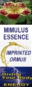 Ormus Minerals MIMULUS Essence Imprinted Ormus Ormus Minerals MIMULUS Essence Imprinted Ormus
