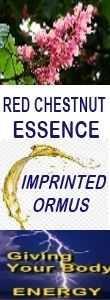 Ormus Minerals RED CHESTNUT Essence Imprinted Ormus Ormus Minerals RED CHESTNUT Essence Imprinted Ormus