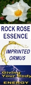 Ormus Minerals ROCK ROSE Essence Imprinted Ormus