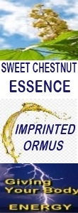 Ormus Minerals SWEET CHESTNUT Essence Imprinted Ormus Ormus Minerals SWEET CHESTNUT Essence Imprinted Ormus