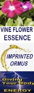 Ormus Minerals VINE FLOWER Essence Imprinted Ormus Ormus Minerals VINE FLOWER Essence Imprinted Ormus
