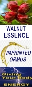 Ormus Minerals WALNUT Essence Imprinted Ormus Ormus Minerals WALNUT Essence Imprinted Ormus