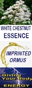 Ormus Minerals WHITE CHRSTNUT Essence Imprinted Ormus Ormus Minerals WHITE CHRSTNUT Essence Imprinted Ormus