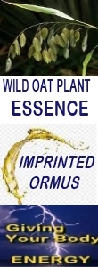 Ormus Minerals WILD OAK Essence Imprinted Ormus Ormus Minerals WILD OAK Essence Imprinted Ormus