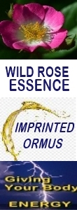 Ormus MineralsWILD ROSE Essence Imprinted Ormus Ormus MineralsWILD ROSE Essence Imprinted Ormus