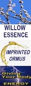 Ormus Minerals WILLOW Essence Imprinted Ormus Ormus Minerals WILLOW Essence Imprinted Ormus