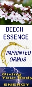 Ormus Minerals BEECH Essence ORMUS Ormus Minerals BEECH Essence ORMUS