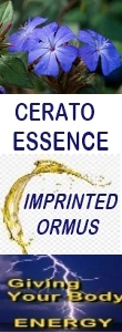 Ormus Minerals Cerato Essence Imprinted Ormus Ormus Minerals Cerato Essence Imprinted Ormus