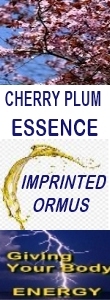 Ormus Minerals CHERRY PLUM Essence Imprinted Ormus Ormus Minerals CHERRY PLUM Essence Imprinted Ormus