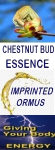 Ormus Minerals CHESTNUT BUD Essence Imprinted Ormus Ormus Minerals CHESTNUT BUD Essence Imprinted Ormus
