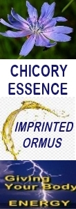 Ormus Minerals CHICORY Essence Imprinted Ormus Ormus Minerals CHICORY Essence Imprinted Ormus