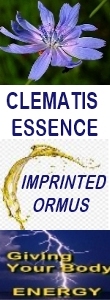 Ormus Minerals CLEMATIS Essence Imprinted Ormus Ormus Minerals CLEMATIS Essence Imprinted Ormus