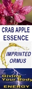 Ormus Minerals CRAB APPLE Essence Imprinted Ormus Ormus Minerals CRAB APPLE Essence Imprinted Ormus