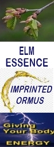 Ormus Minerals ELM Essence Imprinted Ormus Ormus Minerals ELM Essence Imprinted Ormus