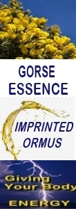 Ormus Minerals GORSE Essence Imprinted Ormus Ormus Minerals GORSE Essence Imprinted Ormus