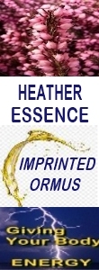 Ormus Minerals HEATHER Essence Imprinted Ormus Ormus Minerals HEATHER Essence Imprinted Ormus