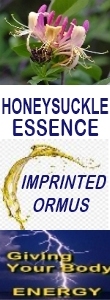 Ormus Minerals HONEYSUCKEL Essence Imprinted Ormus Ormus Minerals HONEYSUCKEL Essence Imprinted Ormus