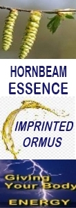 Ormus Minerals HORNBEAM Essence Imprinted Ormus Ormus Minerals HORNBEAM Essence Imprinted Ormus