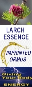 Ormus Minerals LARCH Essence Imprinted Ormus Ormus Minerals LARCH Essence Imprinted Ormus