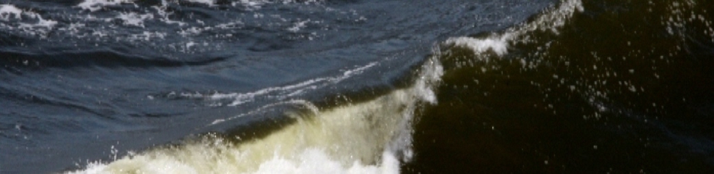 Ormus Minerals Sole Benefits Ormus Minerals Sole Benefits