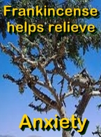 Ormus Rich Mineral Skin Cream with Frankincense Ormus Rich Mineral Skin Cream with Frankincense