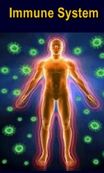 Ormus Minerals - Ormus Rich Mushrooms Immune System Ormus Minerals - Ormus Rich Mushrooms Immune System