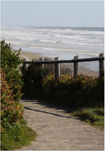 Ormus Journey Ormus Journey