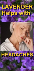 Ormus Minerals Ormus Lavender Organic Body Butter Ormus Minerals Ormus Lavender Organic Body Butter