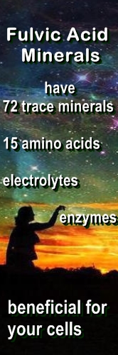 Ormus Minerals Fulvic Acid 100 Percent Powder Ormus Minerals Fulvic Acid 100 Percent Powder