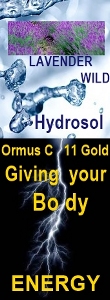 Ormus Minerals Ormus C 11 Gold LAVENDER WILD Hydrosol
