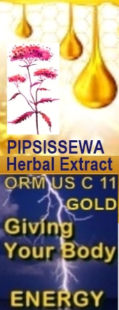 Ormus Minerals Ormus C 11 Gold PIPSISSEWA Extract
