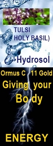 Ormus Minerals Ormus C 11 Gold TULSI (HOLY BASIL) Hydrosol