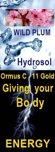 Ormus Minerals Ormus C 11 Gold WILD PLUM BLOSSOM Hydrosol