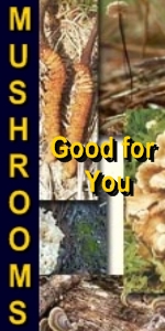 Ormus Minerals ORMUS Rich Mushrooms - SHIITAKE Mushroom Ormus Minerals ORMUS Rich Mushrooms - SHIITAKE Mushroom