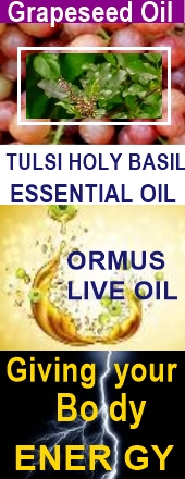 Ormus Minerals Ormus TULSI HOLY BASIL Essential Oil