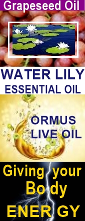Ormus Minerals Ormus WATER LILY Essential Oil