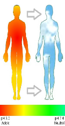 Ormus Minerals Himalayan Crystal Sole - PH Balance Ormus Minerals Himalayan Crystal Sole - PH Balance