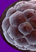 Ormus Minerals Life Force Energy Ormus Minerals - helps Cells Ormus Minerals Life Force Energy Ormus Minerals - helps Cells